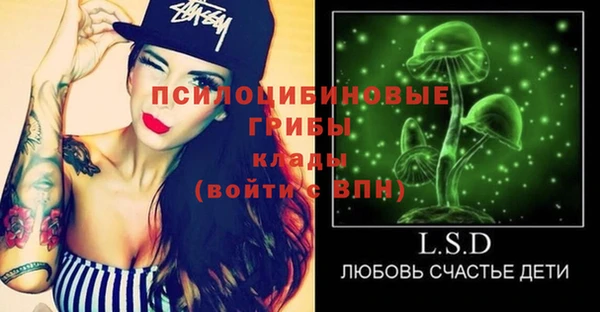 МДПВ Алексеевка