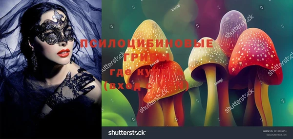 молекула духа Новозыбков