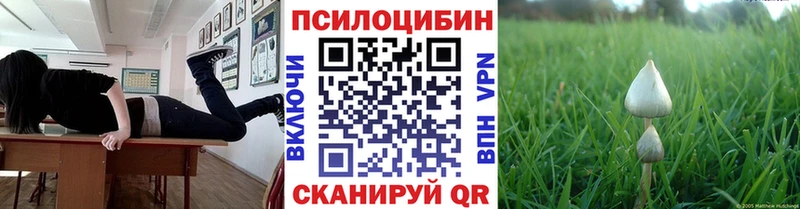 дарнет шоп  Переславль-Залесский  Галлюциногенные грибы мухоморы 